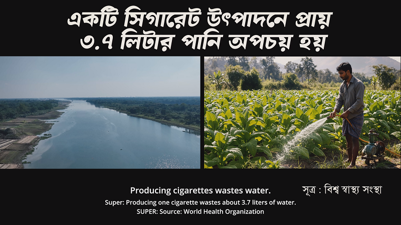 জনসচেতনতা বৃদ্ধিতে তামাক বিরোধী প্রচারণা